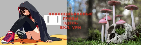 a pvp Сатка