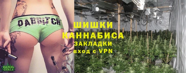 ПСИЛОЦИБИНОВЫЕ ГРИБЫ Саяногорск
