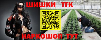 мет Дубна