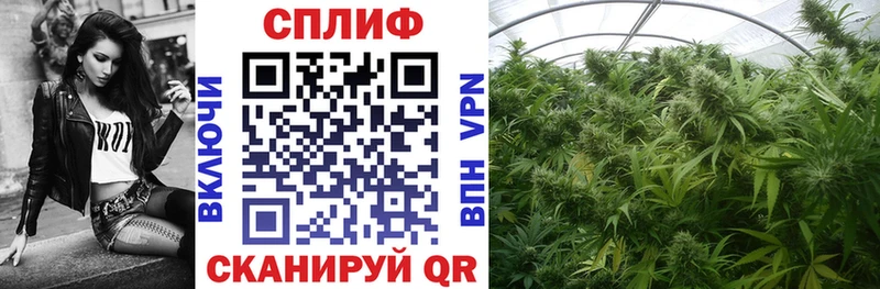 Канабис план  Ростов-на-Дону 