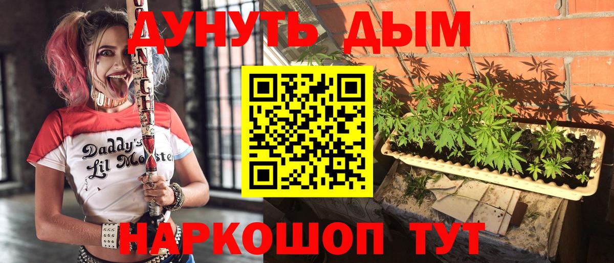 Бошки марихуана планчик  Конопля план  Ростов-на-Дону  Марихуана марихуана  Вход с VPN 